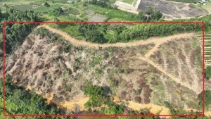 Thanh Chương (Nghệ An):  Dấu hiệu "vênh" giữa thực tế rừng bị phá và biên bản hiện trường?