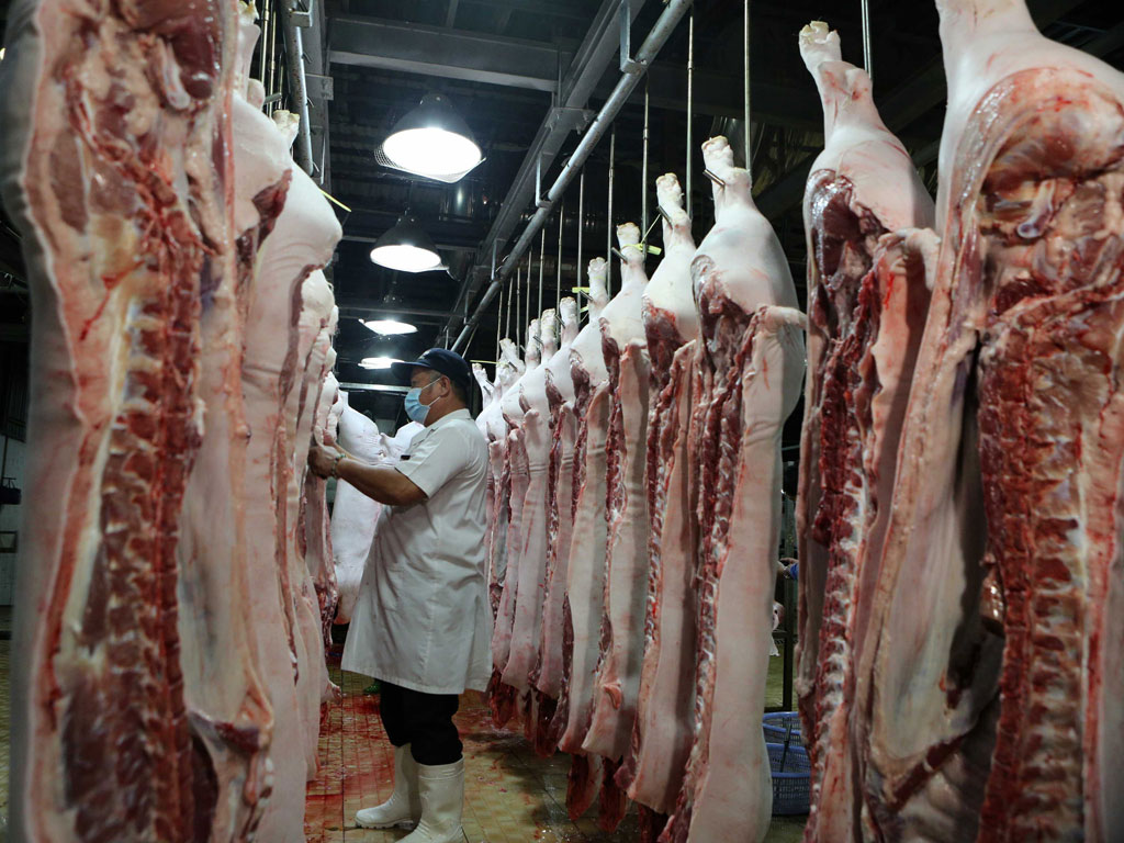Xuất khẩu thịt heo bất ngờ tăng vọt, thịt gà chờ ngày sang Anh, Hàn Quốc- Ảnh 1.