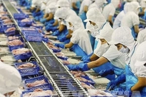 VASEP kiến nghị giữ nguyên thuế suất 0% cho dịch vụ xuất khẩu