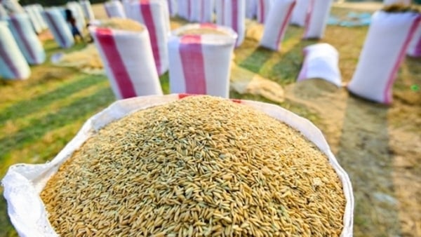 Áp dụng thuế nhập khẩu ưu đãi đặc biệt với gạo, lá thuốc lá khô từ Campuchia Áp dụng thuế nhập khẩu ưu đãi đặc biệt với gạo, lá thuốc lá khô từ Campuchia