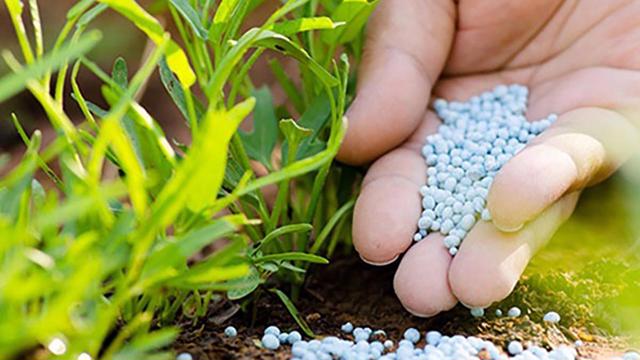 Chính phủ yêu cầu Bộ Tài chính hoàn thiện Luật Thuế giá trị gia tăng, thêm 12 loại hàng chịu thuế