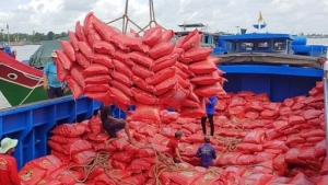 Xuất khẩu gạo tiếp tục duy trì tăng trưởng cao