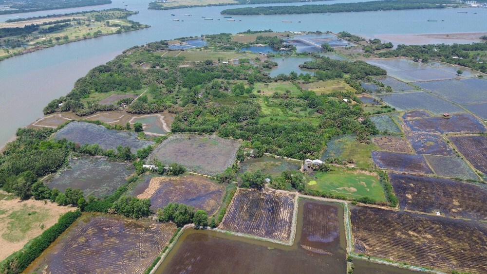 DIC Corp lỗ trăm tỷ DIC Corp lỗ trăm tỷ