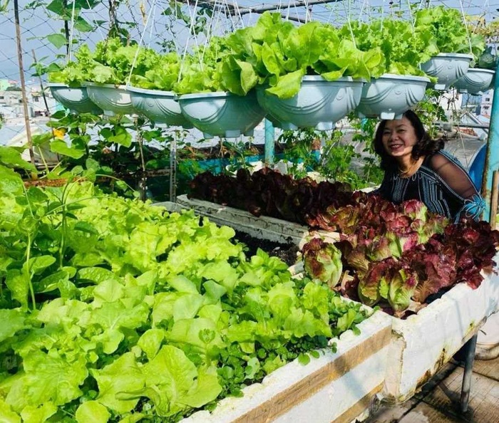 Gia chủ Đà Nẵng làm vườn sân thượng xanh mát, thu hoạch "mỏi tay" nông sản sạch trên nóc nhà Gia chủ Đà Nẵng làm vườn sân thượng xanh mát, thu hoạch "mỏi tay" nông sản sạch trên nóc nhà