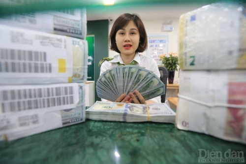 Tỷ giá có dấu hiệu hạ nhiệt | DIỄN ĐÀN TÀI CHÍNH