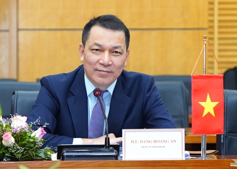 Thứ trưởng Bộ Công Thương Đặng Hoàng An được bổ nhiệm Chủ tịch EVN - Ảnh 1.