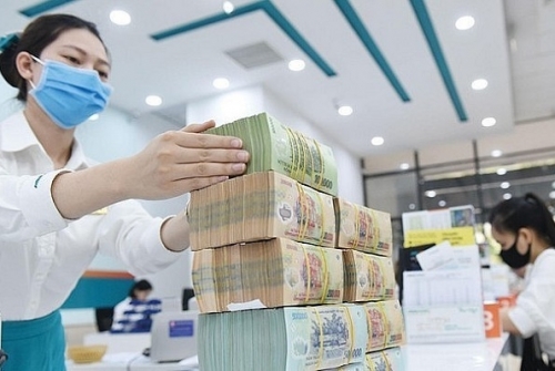 Cần có quy định rõ ràng, chi tiết về hoạt động tín dụng xanh | DIỄN ĐÀN TÀI CHÍNH