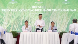 Tận dụng thời cơ về giá để đẩy mạnh sản xuất, xuất khẩu gạo