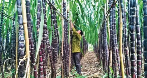 Doanh nghiệp sắp giải thể, VietinBank rao bán khoán nợ 312 tỷ với giá 137,4 tỷ đồng