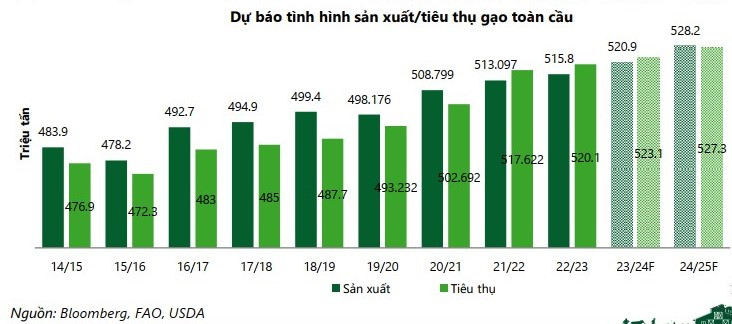 Xuất khẩu gạo tích cực nhờ nhu cầu nhập khẩu của Philippines và Indonesia Xuất khẩu gạo tích cực nhờ nhu cầu nhập khẩu của Philippines và Indonesia