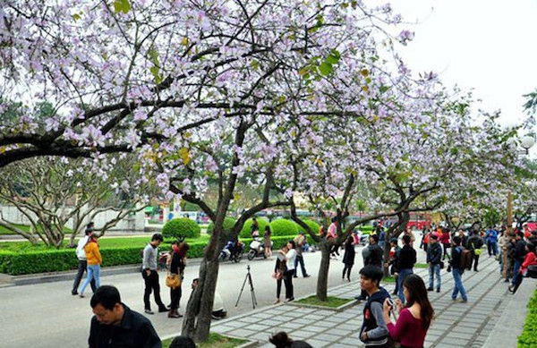 Cú “hích” cho du lịch Điện Biên bứt phá