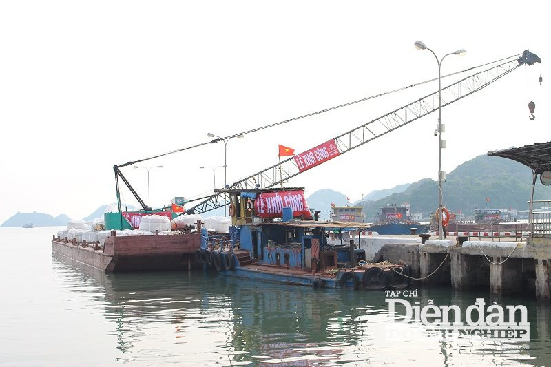 "Xanh hóa" du lịch Cát Bà