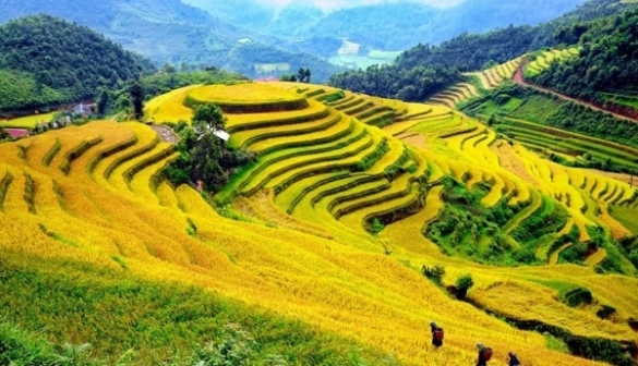 7 nơi lý tưởng ngắm lúa vàng mùa thu