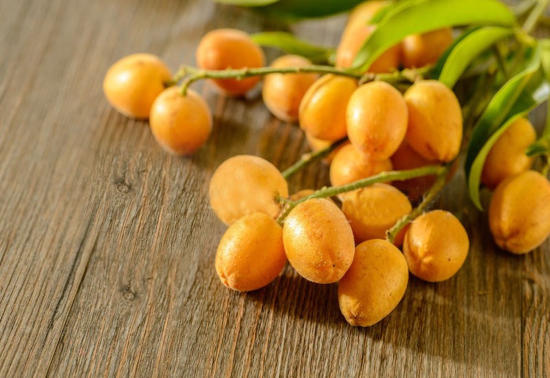 Quất hồng bì - vị thuốc hiệu quả đằng sau hương vị hấp dẫn Quất hồng bì - vị thuốc hiệu quả đằng sau hương vị hấp dẫn