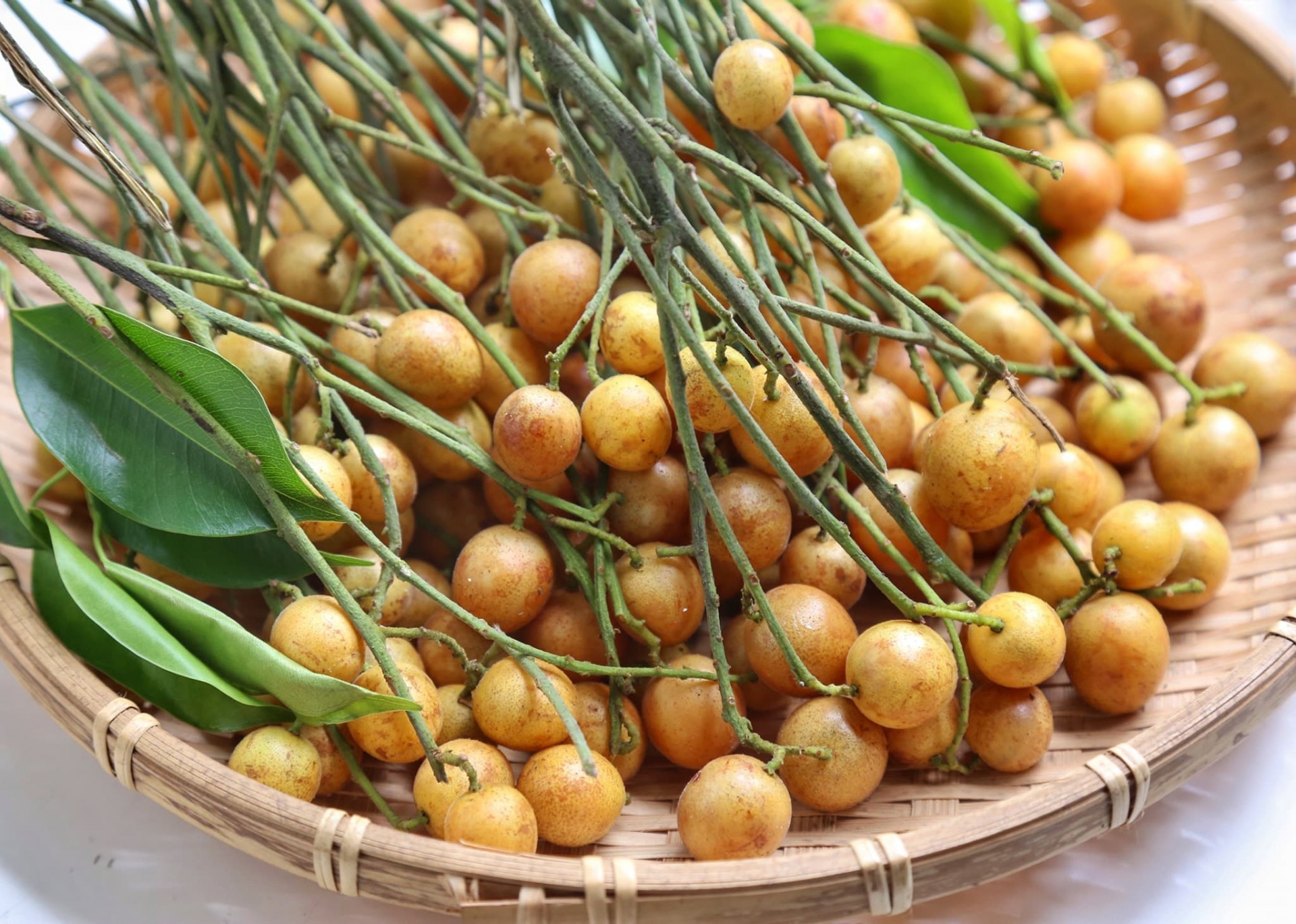 Quất hồng bì - vị thuốc hiệu quả đằng sau hương vị hấp dẫn Quất hồng bì - vị thuốc hiệu quả đằng sau hương vị hấp dẫn