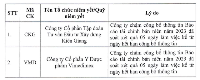 HOSE đưa thêm hai cổ phiếu CKG và VMD vào danh sách không đủ điều kiện cấp margin ảnh 1