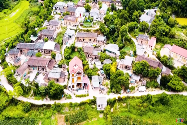 Du lịch trải nghiệm mùa cỏ lau biên giới