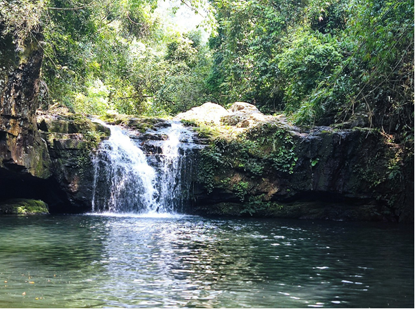 Du lịch trải nghiệm mùa cỏ lau biên giới
