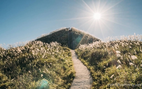 Du lịch trải nghiệm mùa cỏ lau biên giới