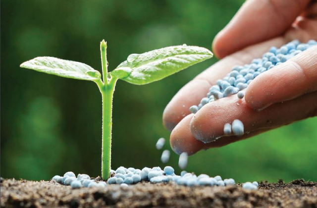 Tín hiệu tích cực cho ngành Phân bón nửa cuối năm 2023