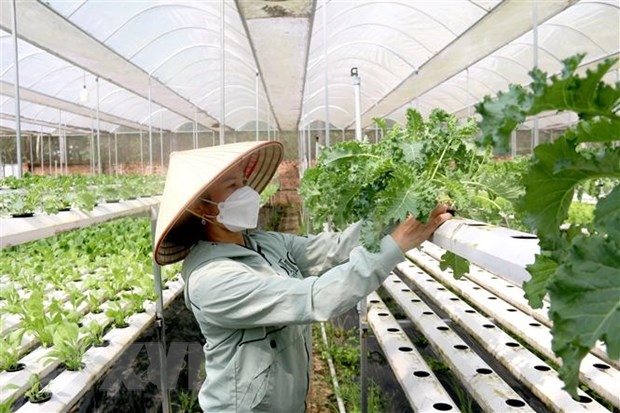 Chính sách hỗ trợ phát triển tổ hợp tác, hợp tác xã, liên hiệp hợp tác xã Chính sách hỗ trợ phát triển tổ hợp tác, hợp tác xã, liên hiệp hợp tác xã