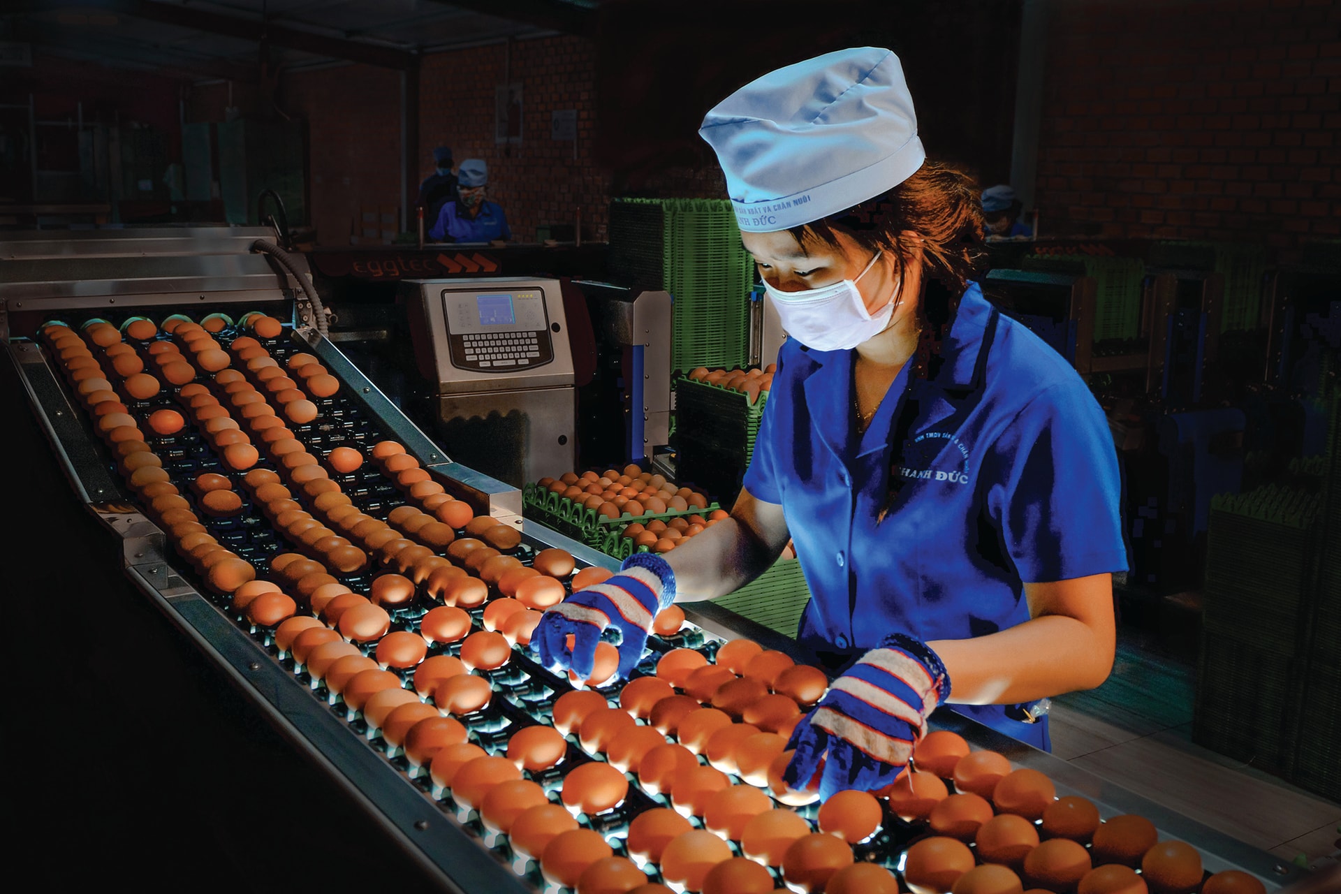 Bình đẳng giới - Động lực cho tăng trưởng kinh tế Bình đẳng giới - Động lực cho tăng trưởng kinh tế