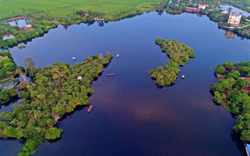 Đảo cò Thanh Miện - Điểm du lịch sinh thái hấp dẫn