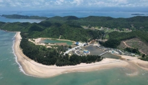 Sức sống mới Cái Chiên