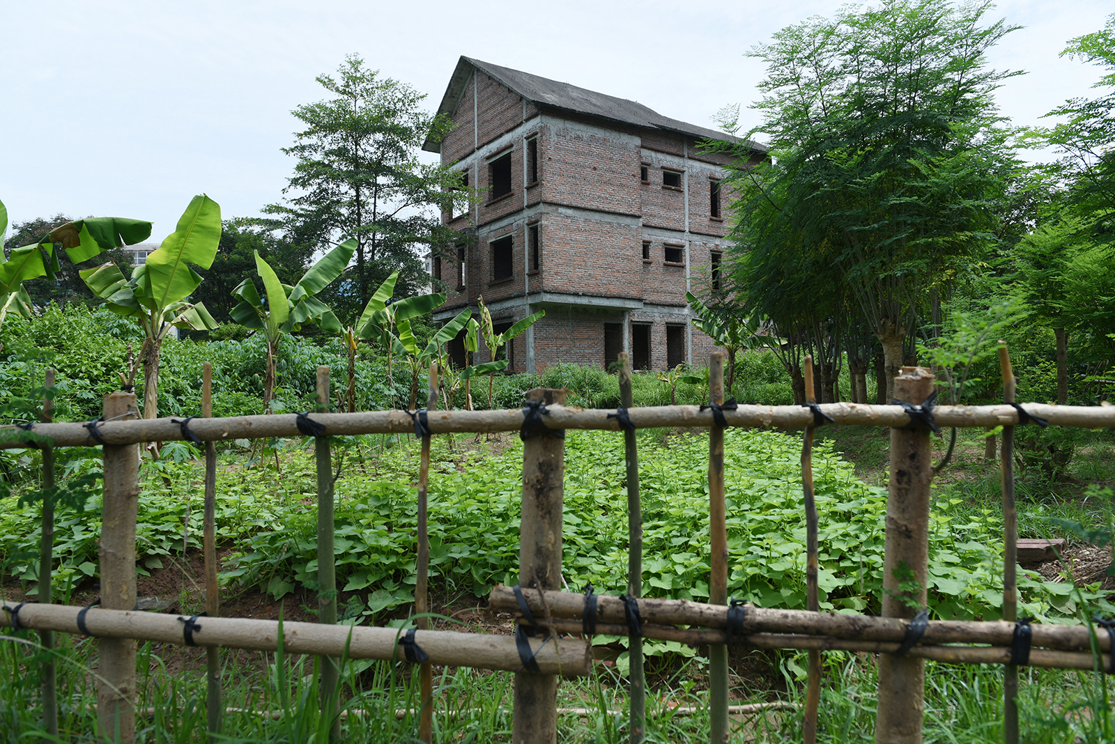 Luật sư Nguyễn Hồng Chung: “Nhiều vướng mắc pháp lý, địa phương lúng túng, doanh nghiệp gặp khó” ảnh 1