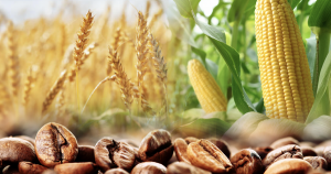 Giá hàng hóa nối dài chuỗi phục hồi