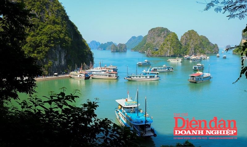 Quảng Ninh: Khởi động mùa du lịch tàu biển Quảng Ninh: Khởi động mùa du lịch tàu biển