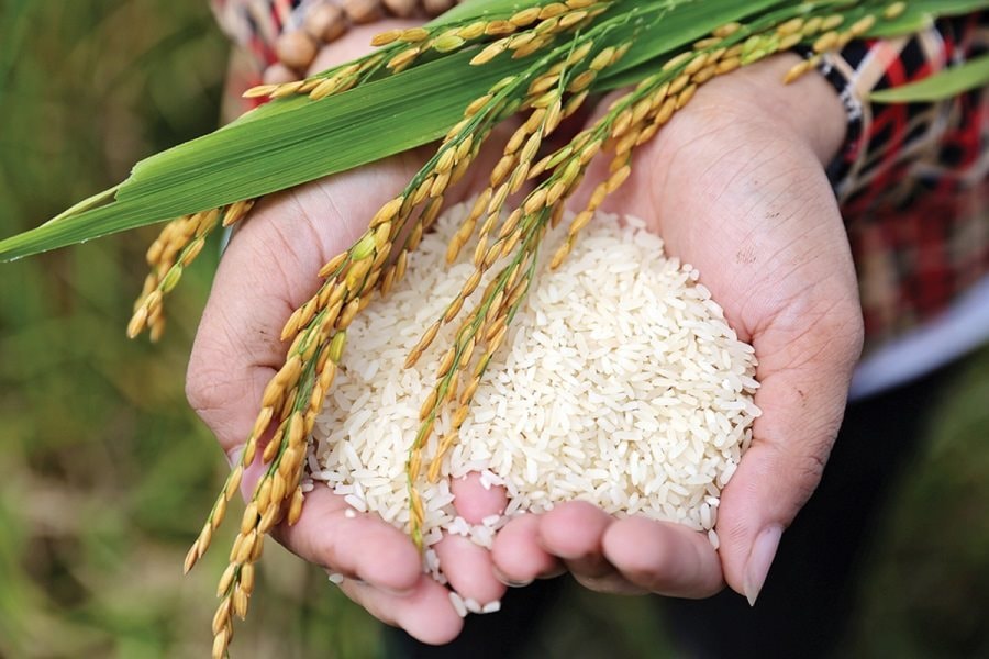 Áp thuế 5% đối với phân bón: “3 nhà”đều được lợi