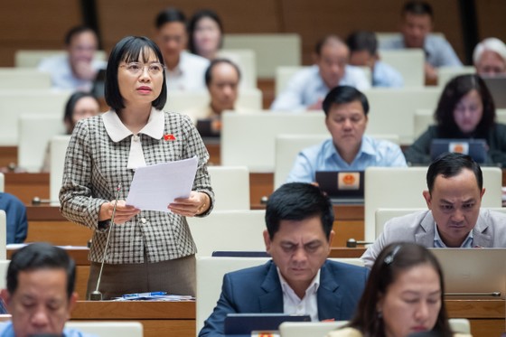 Đại biểu Nguyễn Thị Việt Nga ảnh 3 Đại biểu Nguyễn Thị Việt Nga ảnh 3