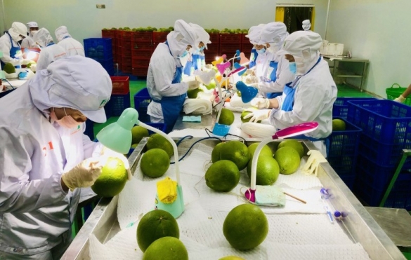 Xúc tiến xuất khẩu xanh: Thay đổi tư duy để không bị loại khỏi cuộc chơi