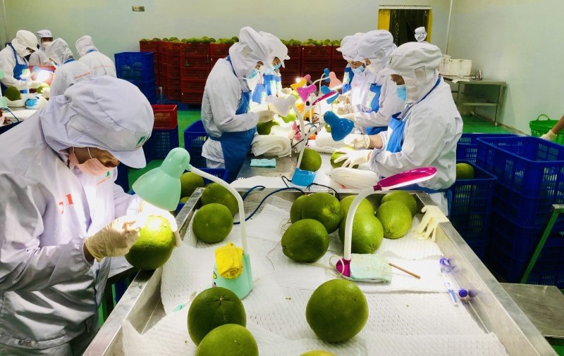 Xúc tiến xuất khẩu xanh: Thay đổi tư duy để không bị loại khỏi cuộc chơi