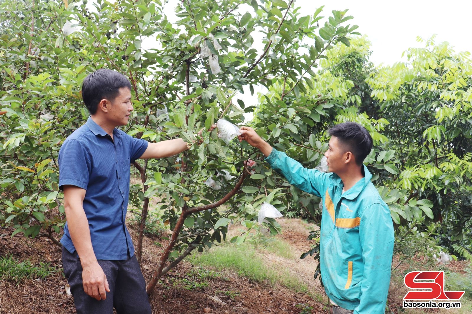 Sơn La: Về Mường Hung Sơn La: Về Mường Hung