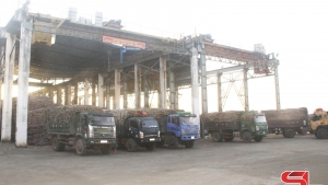Sơn La: Thêm mùa mía ngọt