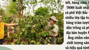 Điện Biên:  Tạo đà để người dân phát triển kinh tế