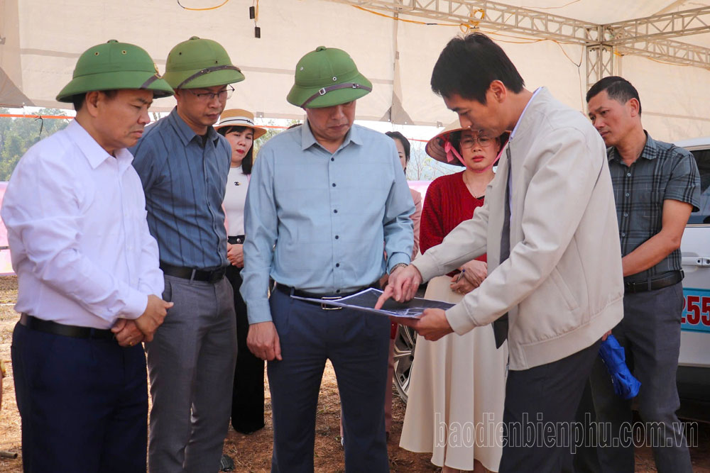 Điện Biên: Đảo hoa trước giờ khai hội