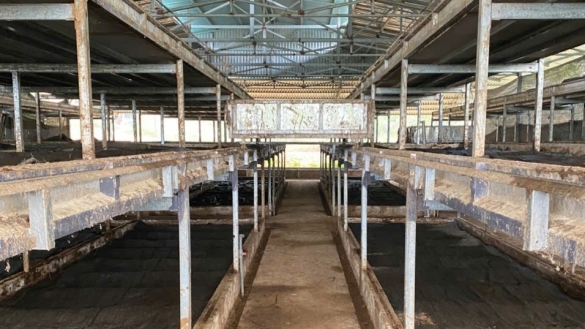 Điện Biên: Giải pháp xanh từ trùn quế