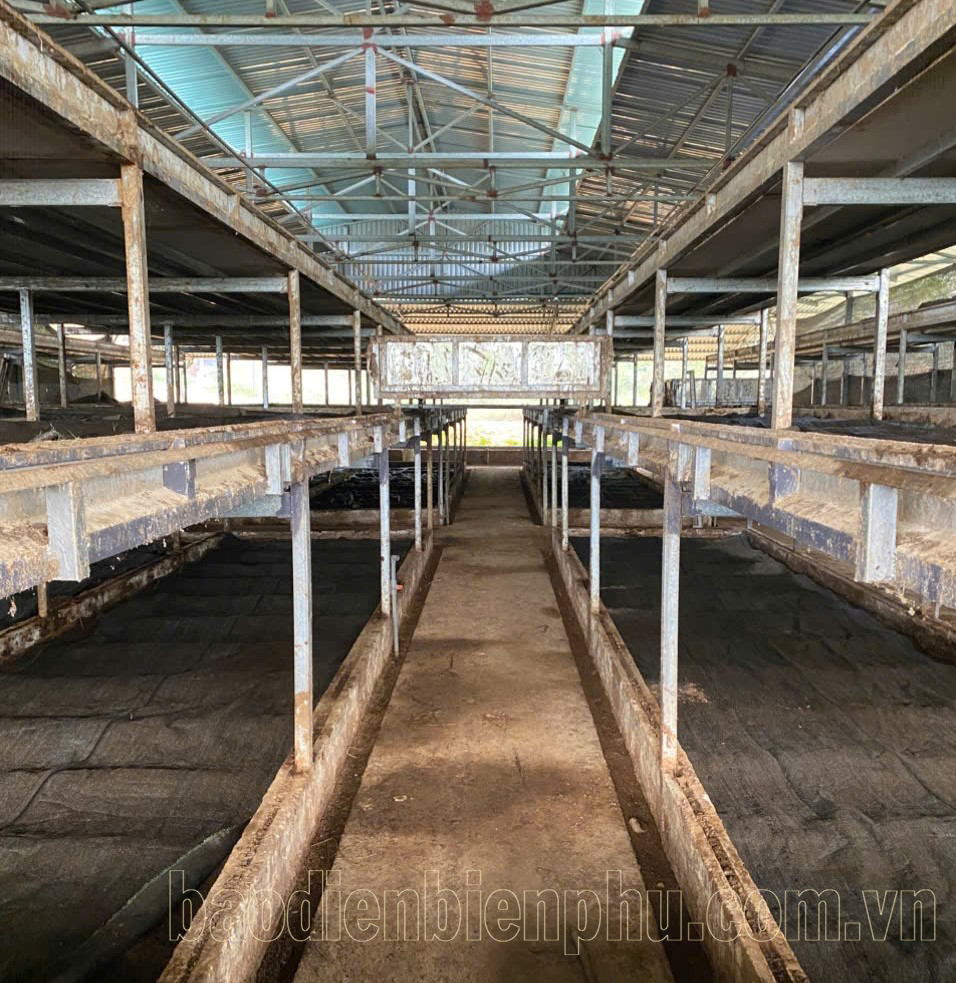 Điện Biên: Giải pháp xanh từ trùn quế Điện Biên: Giải pháp xanh từ trùn quế