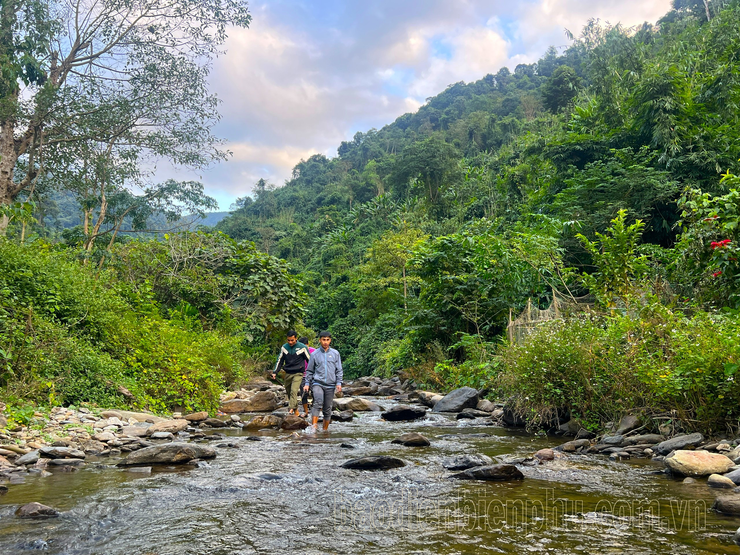 Điện Biên: Chuyện giữ rừng ở Huổi Lóng