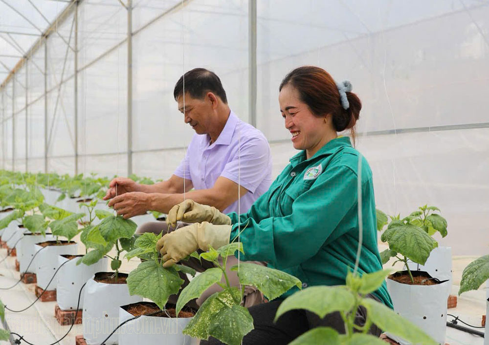 Điện Biện: Xây dựng nông thôn mới vùng đất khát Điện Biện: Xây dựng nông thôn mới vùng đất khát