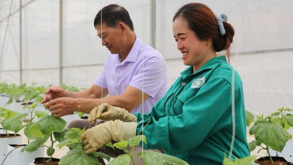 Điện Biện: Xây dựng nông thôn mới vùng đất khát