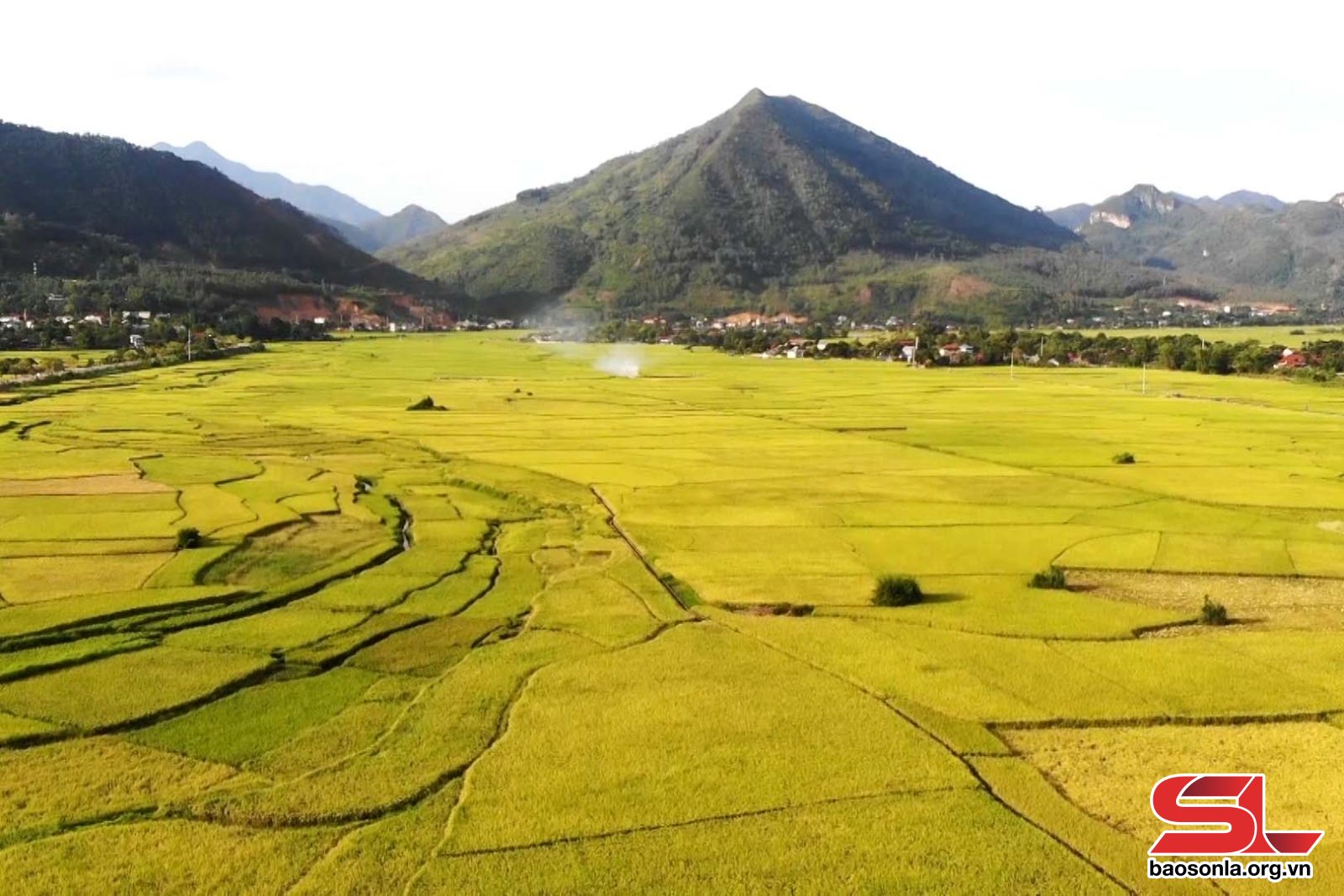 Sơn La: Định vị thương hiệu nông sản Phù Yên Sơn La: Định vị thương hiệu nông sản Phù Yên