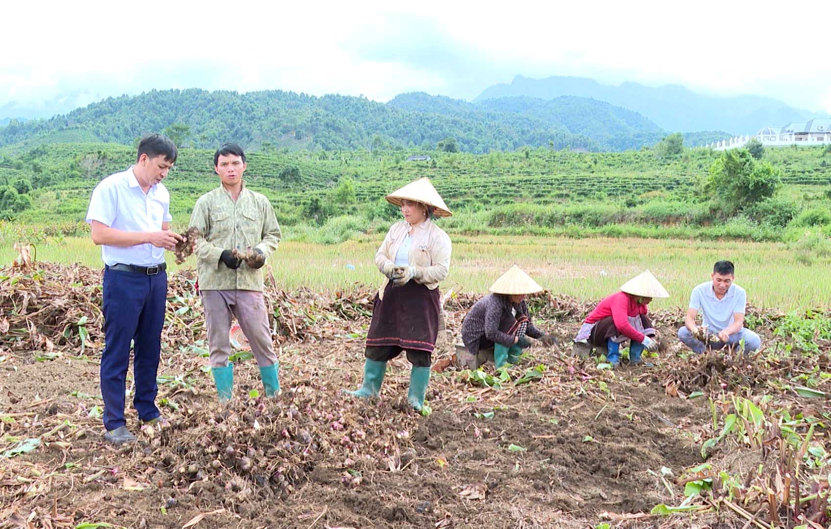 Lai Châu: Phát triển kinh tế giảm nghèo bền vững Lai Châu: Phát triển kinh tế giảm nghèo bền vững