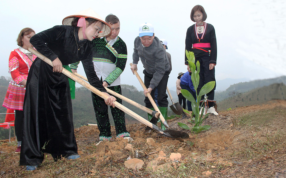 Yên Bái lan tỏa phong trào trồng cây, gây rừng