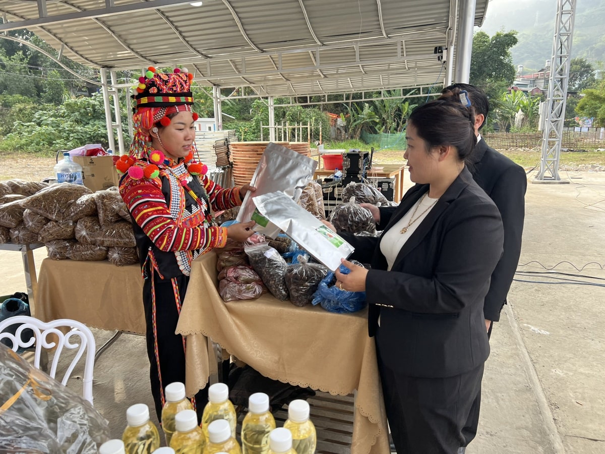 Lai Châu: Mường Tè xây dựng sản phẩm nông sản đặc trưng