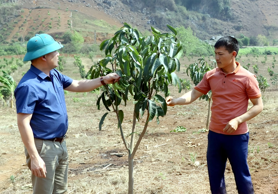 Điện Biên: Không để lãng phí đất nông nghiệp Điện Biên: Không để lãng phí đất nông nghiệp