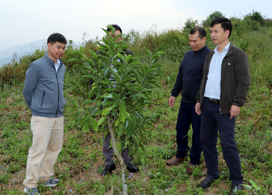 Điện Biên: Không để lãng phí đất nông nghiệp Điện Biên: Không để lãng phí đất nông nghiệp
